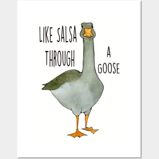 Salsa Through a Goose Posters and Art